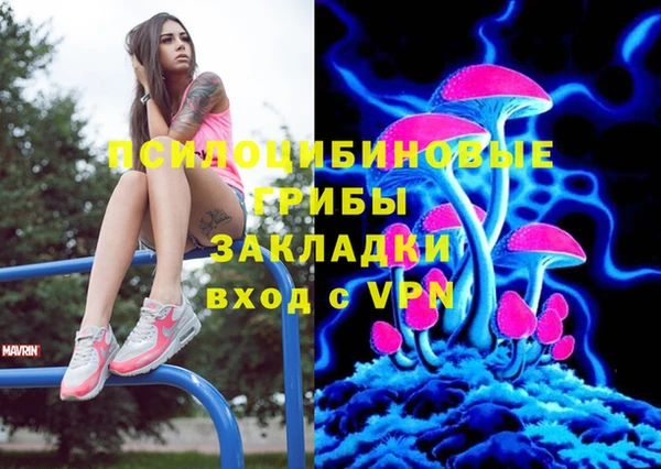 меф Вяземский