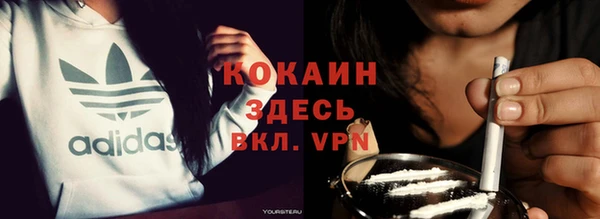 гашик Верея