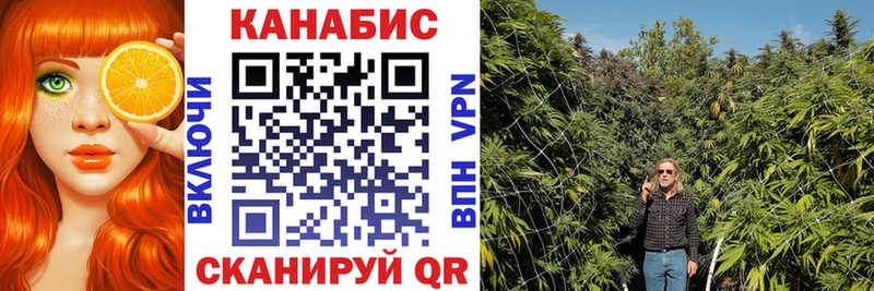 купить наркотики цена  Ивантеевка  МАРИХУАНА ГИДРОПОН 